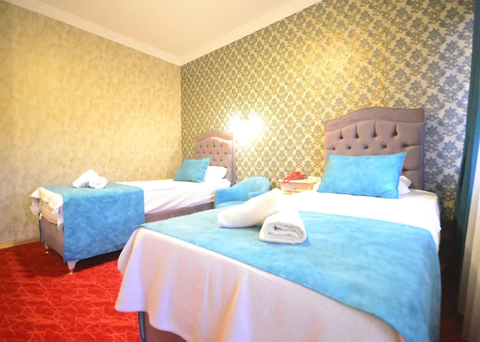 Hotel Cunda Basel 3*