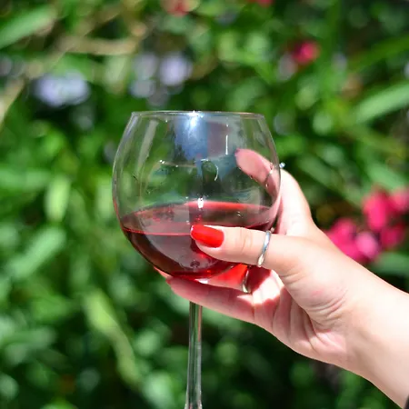 Готель Cunda Basel Айвалик