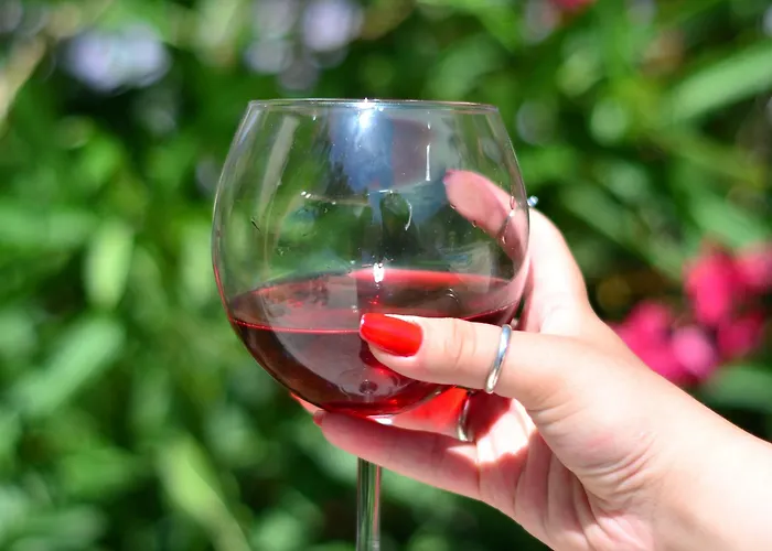 Ξενοδοχείο Cunda Basel Ayvalı